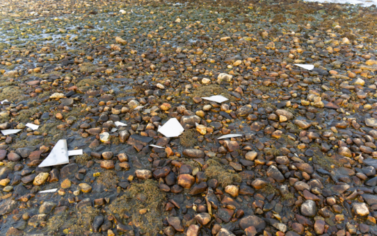 The Garbage at the Beach